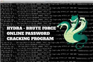 Hydra bruteforce mail ru как искать через тор браузер hudra