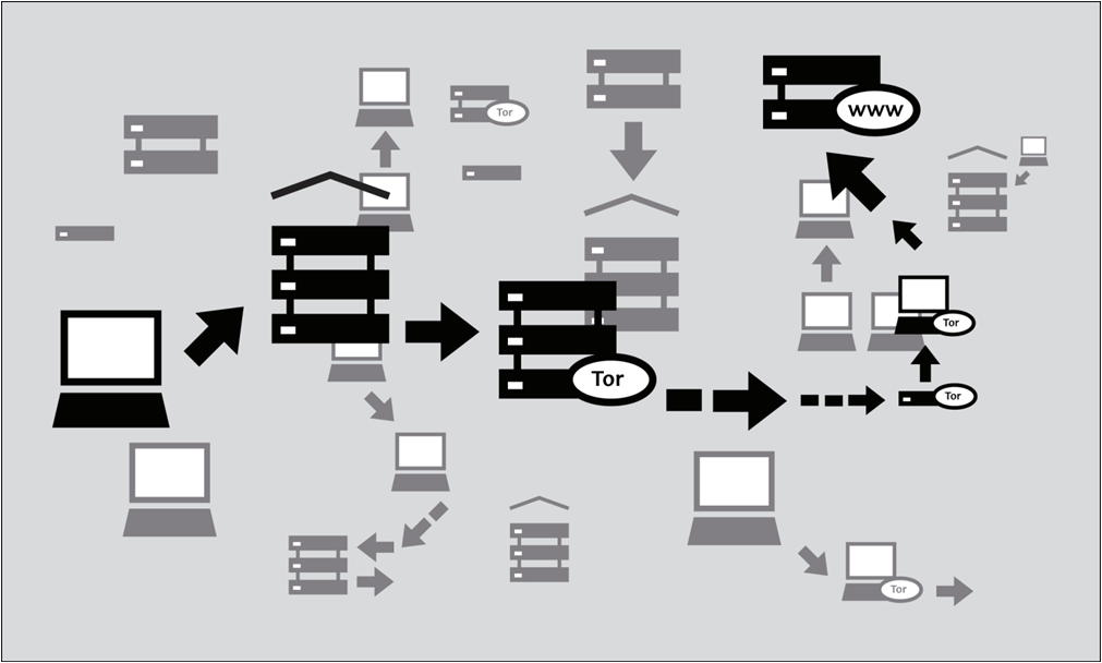 search engine tor network